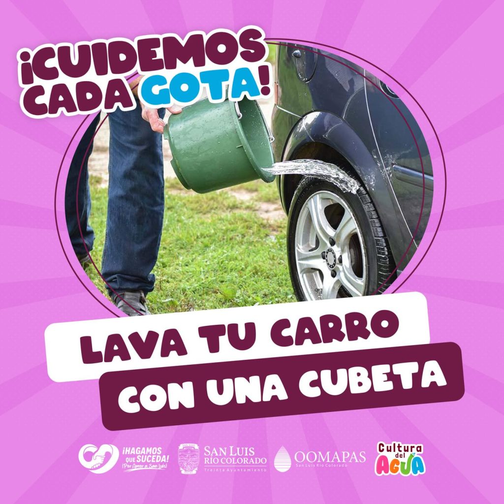 600256162_1305186508319217_2275099809011256844_n