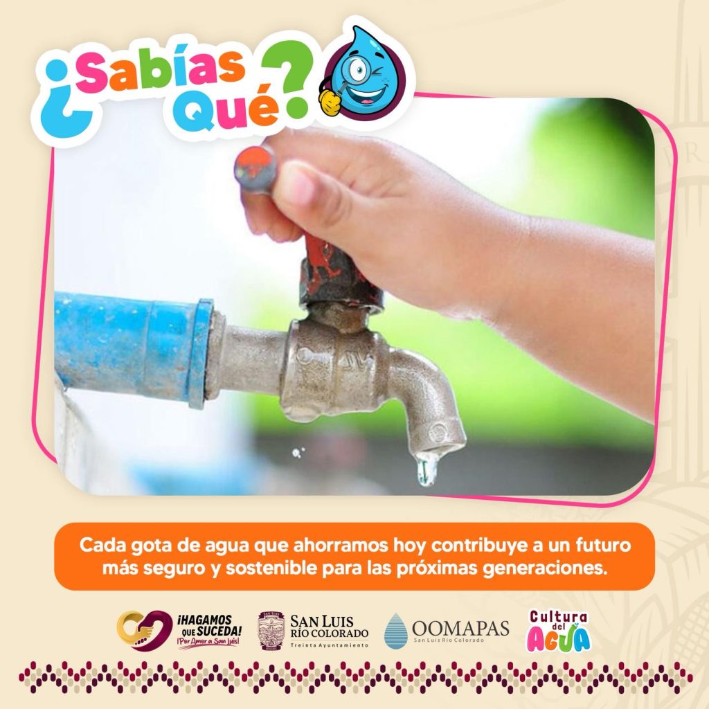 632355311_1351140747057126_4164021560633248044_n