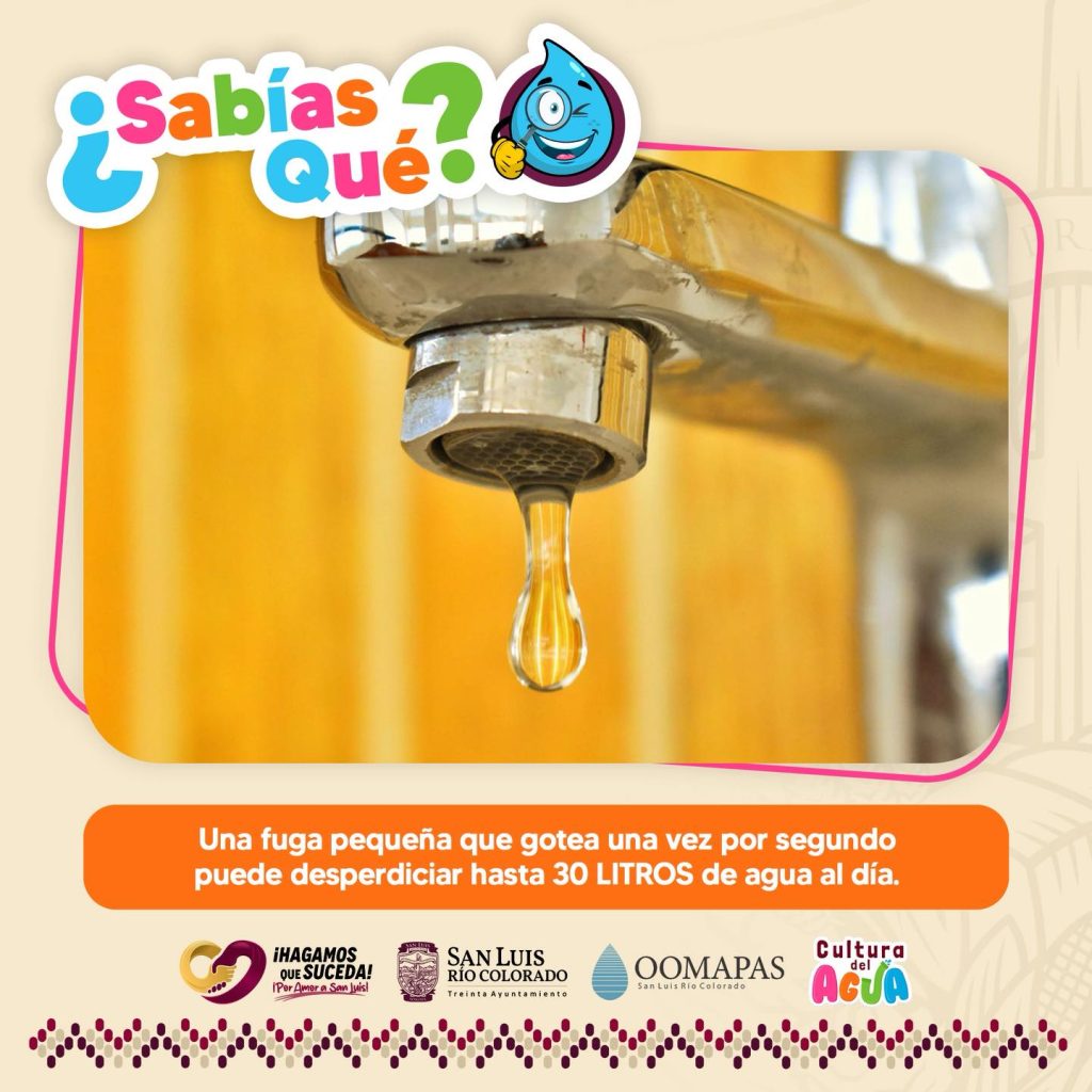 641420103_1362415189263015_8922286267767138224_n